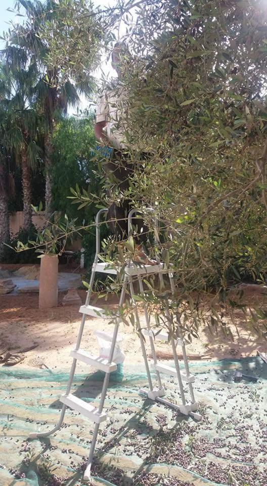 Maison D'Hotes Dar Salma Sfax Eksteriør billede